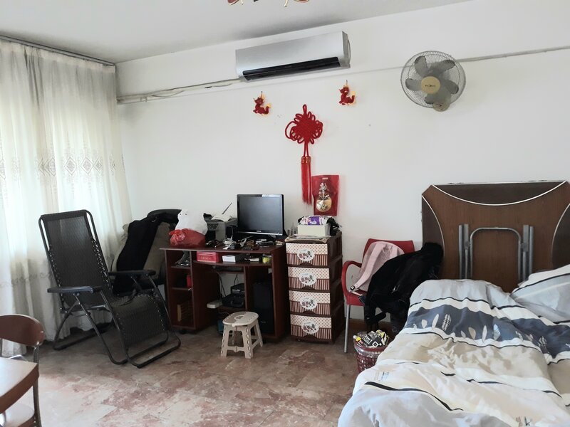 Colentina, Doamna Ghica, Parc Plumbuita, stradal