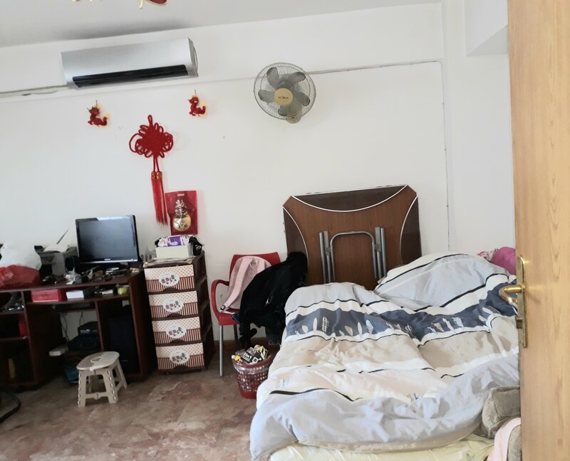 Colentina, Doamna Ghica, Parc Plumbuita, stradal