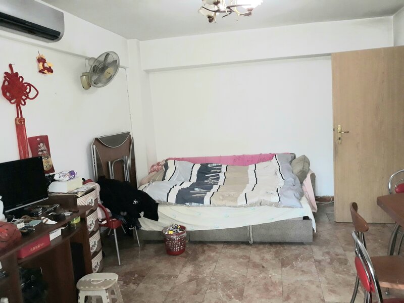 Colentina, Doamna Ghica, Parc Plumbuita, stradal