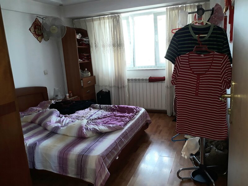 Colentina, Doamna Ghica, Parc Plumbuita, stradal