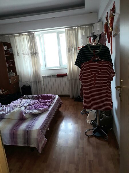 Colentina, Doamna Ghica, Parc Plumbuita, stradal