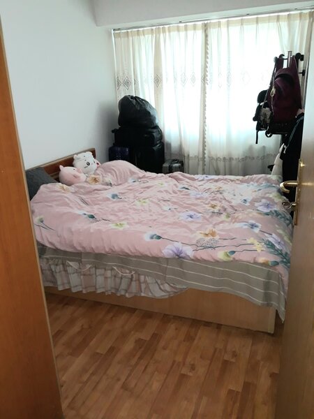 Colentina, Doamna Ghica, Parc Plumbuita, stradal