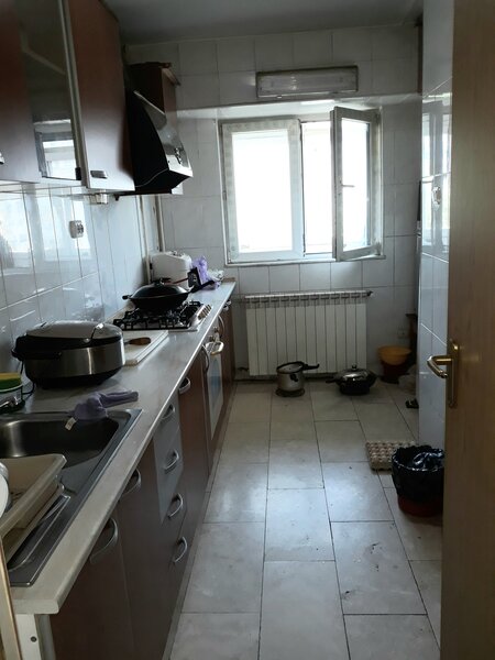 Colentina, Doamna Ghica, Parc Plumbuita, stradal